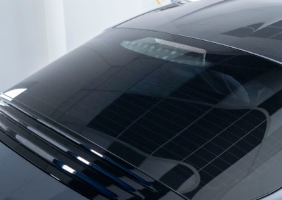 Alpine A110 GTS Grise VPLS film surteinté