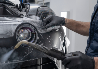 Alpine A110 GTS VPLS Valence PPF