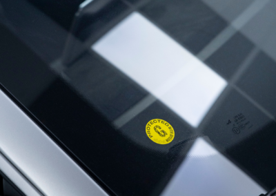 Alpine A110 R 70th VPLS Valence Pose PPF