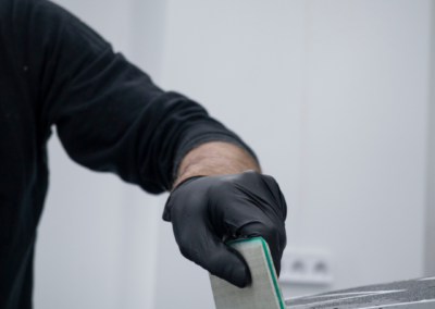 Alpine A110 GTS VPLS Valence PPF