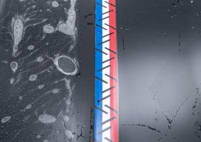 Alpine A110 GTS VPLS Valence PPF